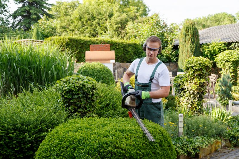 Bush Trimming Service in Ventura County, CA