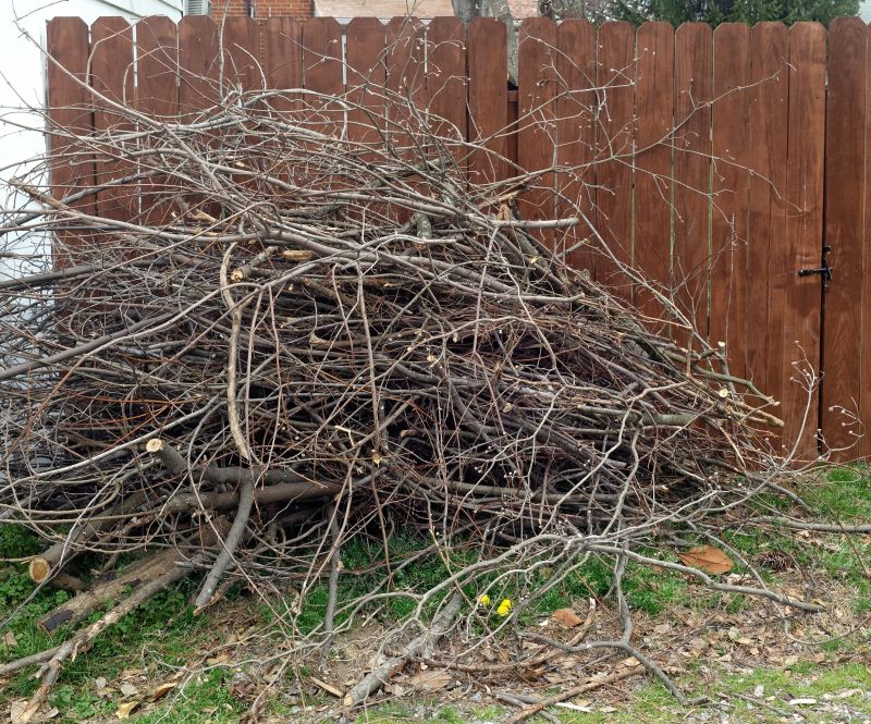 Deadwood Removal in Allentown, PA