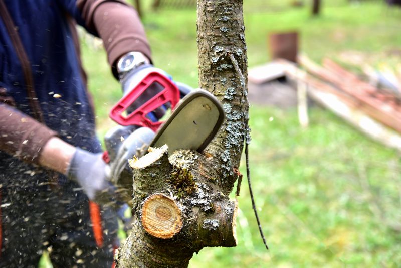 Limbs Trimming in Pottstown, PA
