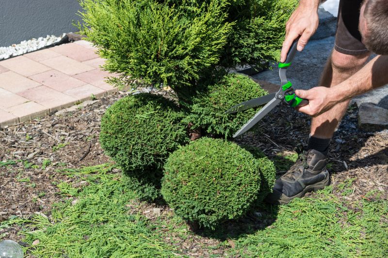 Shrub Shaping in Honolulu, HI