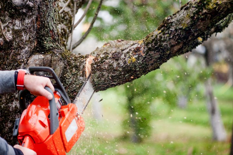 Tree Branch Cutting in Pottstown, PA